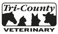 Employer Logo