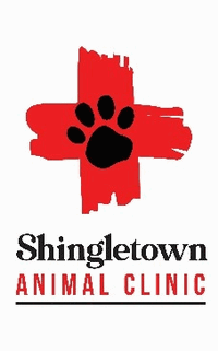 Employer Logo